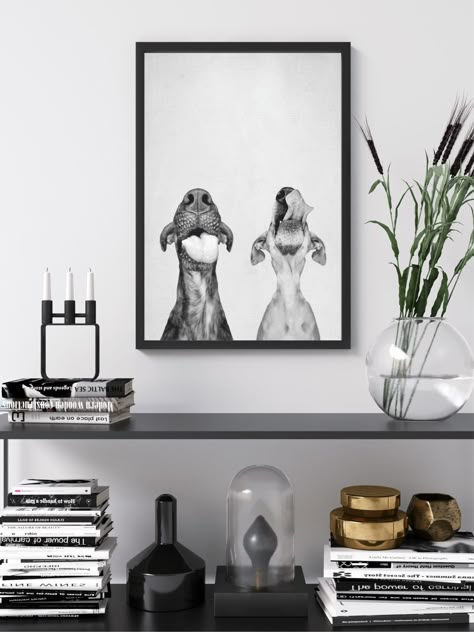 Pet Photo Wall Ideas, Animal Photoshoot, Modern Minimalist Decor, Picture Gallery Wall, Interior Minimal, Dog Home Decor, Dog Frames, Dog Photoshoot, Decor Black And White