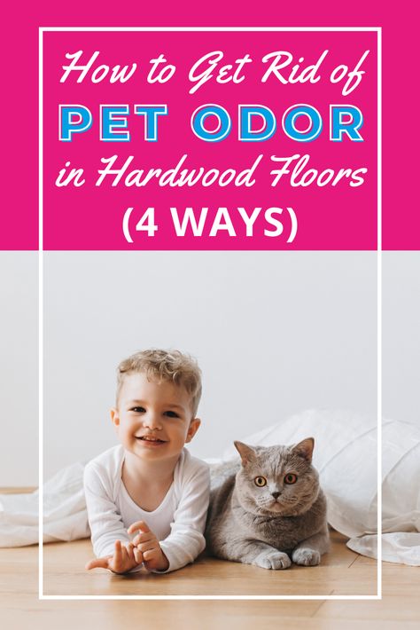 Getting Dog Pee Smell Out Of Wood Floor, Remove Pet Urine From Wood Floors, How To Get Rid Of Dog Urine Smell Hardwood Floors, Urine Smell Out Of Hardwood Floors, How To Get Pee Smell Out Of Wood Floors, Pet Urine Smell Remover Hardwood, How To Get Dog Pee Smell Out Of Hardwood, How To Get Cat Pee Out Of Wood Floors, Dog Pee Smell Out Of Wood Floors