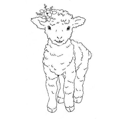 Lamb Tattoo Stencil, Simple Lamb Drawing, Cute Lamb Illustration, Baby Lamb Tattoo, Baby Lamb Drawing, Lamb Line Art, Lamb Doodle, Lamb Coloring Page, Sheep Sketch