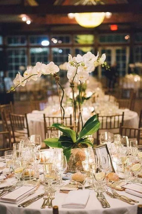 Art Deco Wedding Centerpieces, Potted Plant Centerpieces, White Orchid Centerpiece, Gatsby Wedding Decorations, Orchid Centerpieces Wedding, Plant Centerpieces, Wedding Plants, Orchid Centerpieces, Table Tags