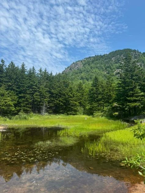 Maine Woods, Acres Of Land, Maine