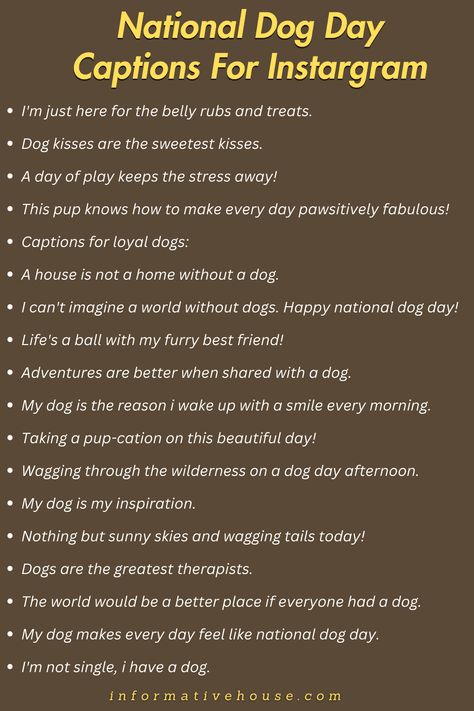 Celebrate Fur-tastic Moments on National Dog Day With These Best National Dog Day Captions! Bio For Dogs On Instagram, Caption For Dog Lovers, Dog Love Captions Instagram, Dog Captions Dog Captions Instagram Cute, Dog Love Captions, Dog Mom Captions Instagram, Dog Instagram Bio Ideas, Puppy Captions Instagram, Puppy Instagram Captions