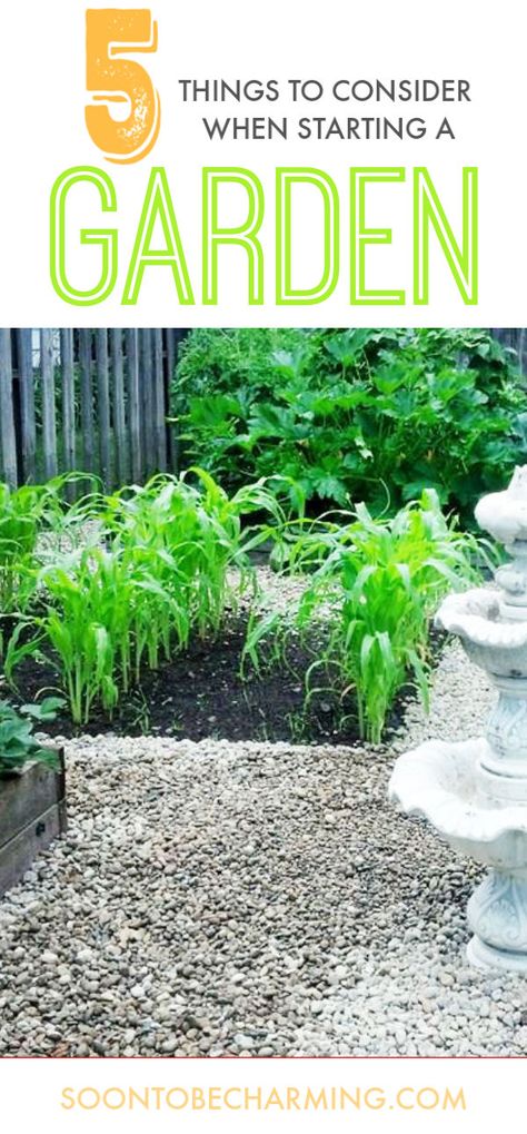 Want a garden, but don't know where to start?  Take these 5 things into consideration to help you get started!  Taking the time to plan ahead will set you up for a fabulous garden for years to come! #soontobecharming #startagarden #howto #whattoconsider Landscaping Around Patio, Landscaping Along Fence, Privacy Trees, Backyard Designs, Starting A Garden, Holiday Printables, Small Yard, Diy Pergola, Landscaping Tips