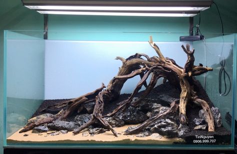 Wood Aquascape, Aquatic Turtle Tank, Aquascape Ideas, Fish Aquarium Decorations, Aquascape Design, Fish Tank Design, Betta Aquarium, Aquarium Terrarium, Fresh Water Fish Tank