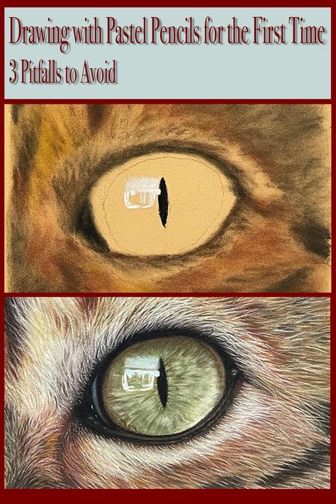 These were my first attempts at working with pastels, both pans and pencils. Read about my process here, getting over my fears and avoiding pitfalls. #panpastels #pastelmat #pittpastels #carandacepastels Color Pencil Picture, Drawing With Pastels, Soft Pastels Drawing, Soft Pastel Art, Eyes Artwork, Keeping It Real, Colored Pencil Artwork, Pastel Artwork, Getting Over