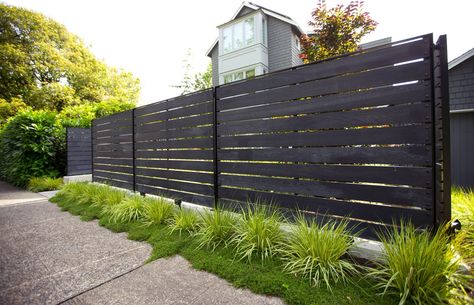 Front Yard Privacy, Black Fences, Boundary Fence, Japanese Fence, Sophisticated Garden, Fern Tree, Overgrown Garden, Yard Privacy, Black Fence