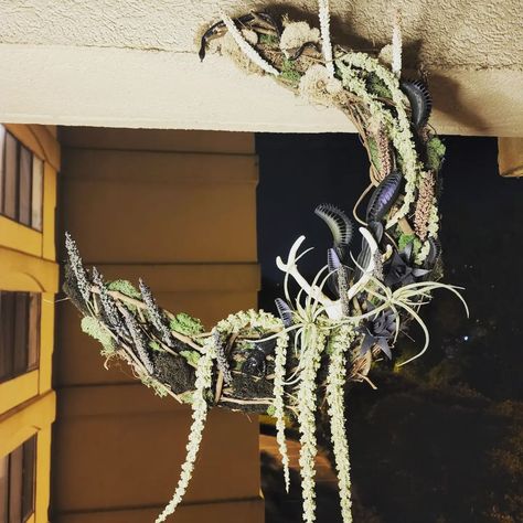 Swamp Witch Decor, Swamp Witch Aesthetic, Swamp Party, Crescent Moon Wreath, Cajun Christmas, Swamp Witch, Moon Wreath, Wreath Inspiration, W.i.t.c.h Aesthetic