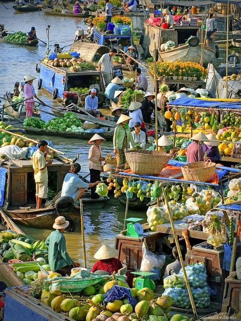 mekong delta 10 best travel places in vietnam Thailand Landscape, Beautiful Vietnam, Vietnam Voyage, Visit Vietnam, South Vietnam, Halong Bay, Visual Development, Vietnam Travel, People Of The World