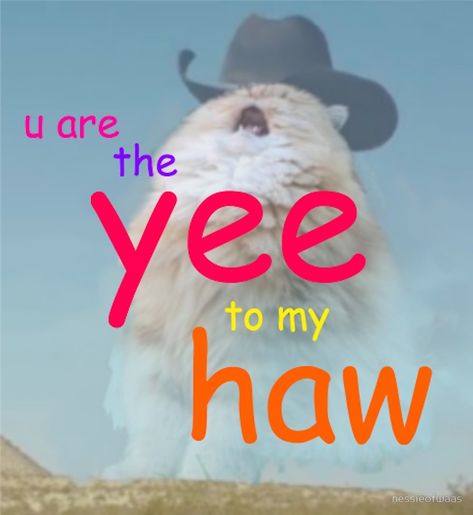 "the yee to my haw" by nessieofwaas | Redbubble Yee To My Haw, Country Playlist, Funny Boyfriend Memes, Cool Album Covers, Boyfriend Memes, Country Humor, Yee Haw, French Dolls, Meme Template