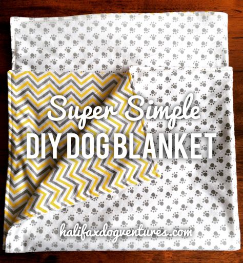 img_5371 Diy Dog Blankets, Dogs Diy Projects, Puppy Blanket, Trendy Diy, Make Blanket, Blanket Diy, Dog Projects, Rottweiler Puppies, Diy Holz