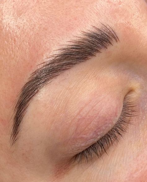 Professional Microblading | Courses on Instagram: “Would you travel to see your favorite artist to get your dream brows? Have you already? Was it everything you hoped it would be? Let me…” Bushy Brows Natural Thick Eyebrows, Microblading Eyebrows Healing Process, Microblading Inspiration, Nano Eyebrows, Micro Bladed Eyebrows, Small Eyebrows, Microblade Eyebrows, Brow Microblading, Lashes Styles