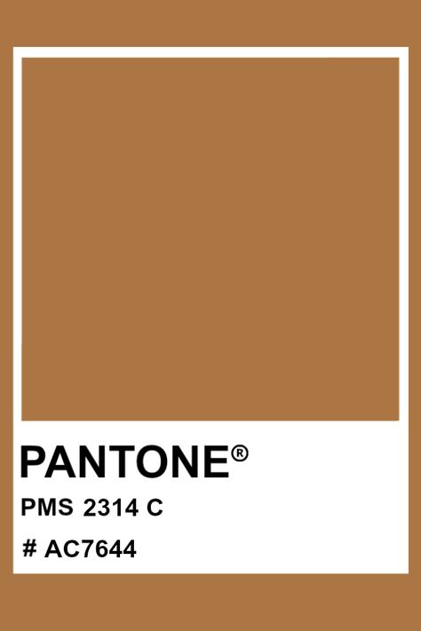 PANTONE 2314 C #pantone #color #PMS #hex Autumn Pantone, Brown Pantone, Pantone Matching System, Pantone Fall, Pantone Color Chart, Pantone Colours, Pantone Palette, Pantone Colour Palettes, Magenta Purple