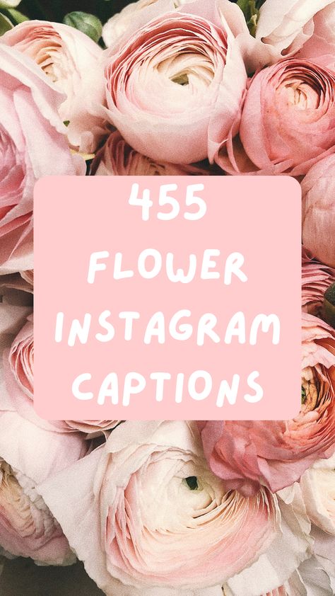 Peonies Quotes Beautiful, Flower Quotes Short Beautiful Love, Buy Flowers Quote, Buying Yourself Flowers Quote, Peony Quotes Inspiration, Fresh Flower Quotes, He Bought Me Flowers Quotes, Blooming Quotes Flower, Floral Instagram Captions