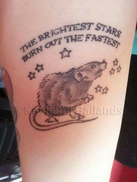 Remember Tattoo, Tail Tattoo, Rat Tattoo, Gorgeous Animals, Small Creatures, Pet Rat, Rat Cage, Fancy Rat, Bad Reputation