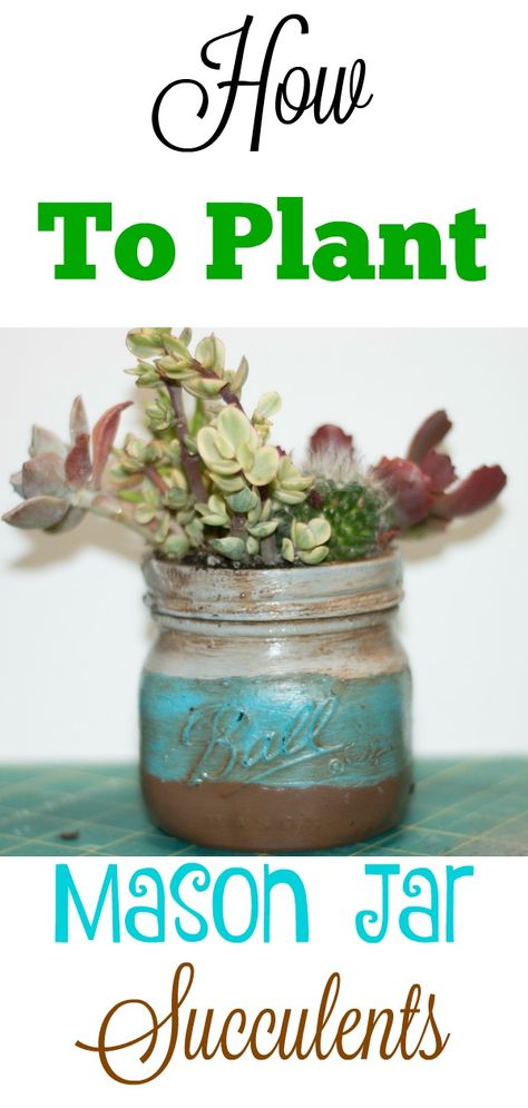 Mason Jar Succulents Diy, Growing Hacks, Mason Jar Succulents, Mason Jar Garden, Plant Succulents, Amazing Plants, Cement Garden, Rustic Mason Jars, Simple Sewing