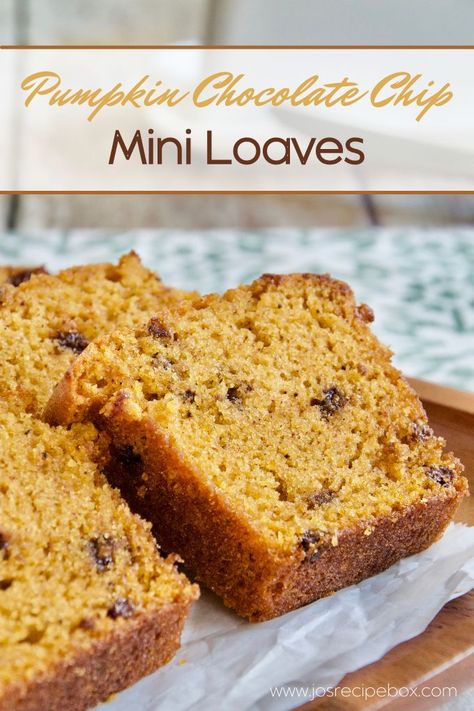 Chocolate Chip Bread Recipe, Mini Loaves, Pumpkin Bread Easy, Chocolate Chip Bread, Pumpkin Recipes Easy, Pumpkin Chocolate Chip Bread, Halloween Food Treats, Healthy Chocolate Chip, Pumpkin Chocolate Chip