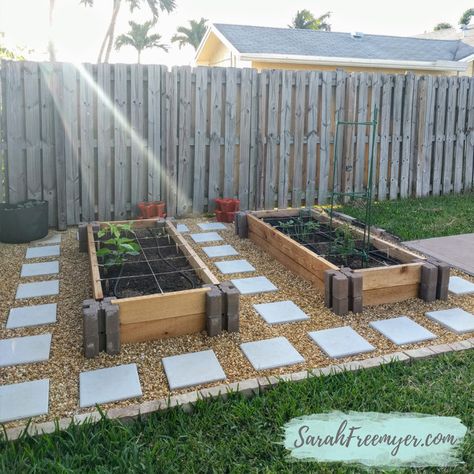 Im Lucky, Garden Bed Layout, Small Vegetable Gardens, Backyard Vegetable Gardens, Raised Garden Beds Diy, Veg Garden, Home Vegetable Garden, Vegetable Garden Design, Backyard Garden Design