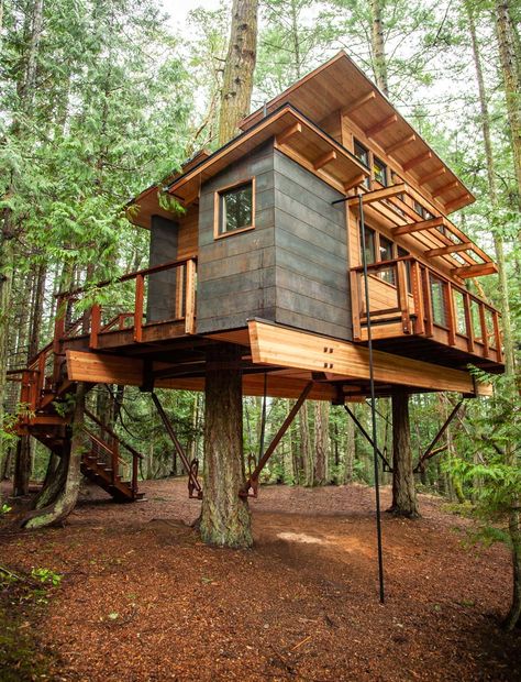 Clean lines, an angled roof, and no decorative frill give this San Juan Island cabin a contemporary aesthetic. Beautiful Tree Houses, Treehouse Masters, Contemporary Cabin, Building A Treehouse, Tree House Plans, Cool Tree Houses, Tree House Designs, Building An Empire, San Juan Islands