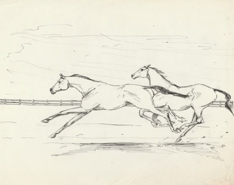 'Galloping Horses 1' drawing by Ann Hewson. This drawing was done when the artist was in her late teens or early twenties. Galloping Horse Drawing, Horse Running Drawing, Horse Draw, Agency Logo, Horse Galloping, Two Horses, Horse Drawing, British Artist, Life Drawing