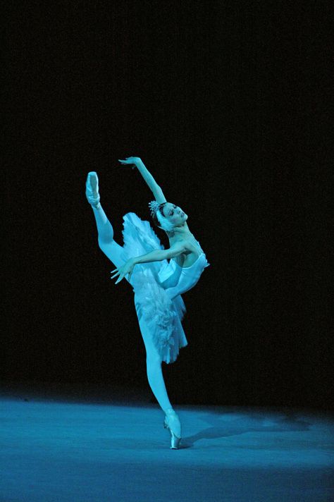 Svetlana Zakharova as Odette in Bolshoi Ballet's production of Swan Lake - Photo Credit: © Damir Yusupov, Bolshoi Theatre - Maxamoo Ballet Stuff, Svetlana Zakharova, Swan Lake Ballet, Ballet Images, Ballerina Project, Ballet Pictures, Bolshoi Theatre, French Twists, Paris Opera Ballet