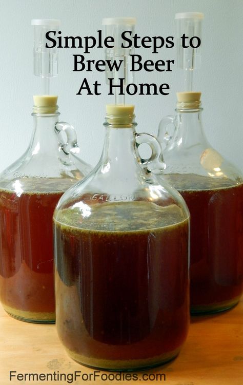 How to brew beer at home: Carboys with hops How To Brew Beer, Beer Making Process, Home Made Beer, Different Types Of Beer, Types Of Beer, Beer Making, Home Brew, Home Brewing Beer, Beer Recipes