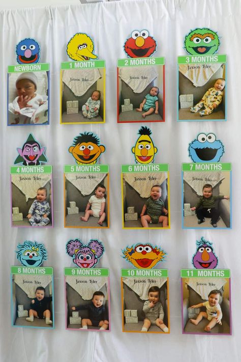 Sesame Street Birthday Party Boy, Sesame Birthday Party, Sesame Street Theme Party, Sesame Street Birthday Backdrop, Sesame Street 1st Birthday Party Ideas, Sesame Street Themed Birthday Party, 1st Birthday Boy Themes Ideas, Elmo First Birthday Party Boy, Sesame Street First Birthday Boy