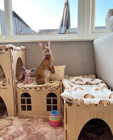 Cosy’s Castles are the perfect pet enrichment home to keep your bun entertained all day and somewhere to snuggle into at night. This bundle includes 1 castle, 1 double storey castle and a tunnel. This is our most popular bundle as it creates multiple levels for bunnies to explore! Our castles can be customised in many different ways, with cushions available for the top and you can even get your pets name engraved on the front. This option to personalise is available below!Our castle bundle is a Indoor Bunny House, Bunny Castle, Pet Enrichment, Bunny Care Tips, Rabbit Playpen, Guinea Pig Run, Indoor Rabbit Cage, Bunny Supplies, 2 Bunnies