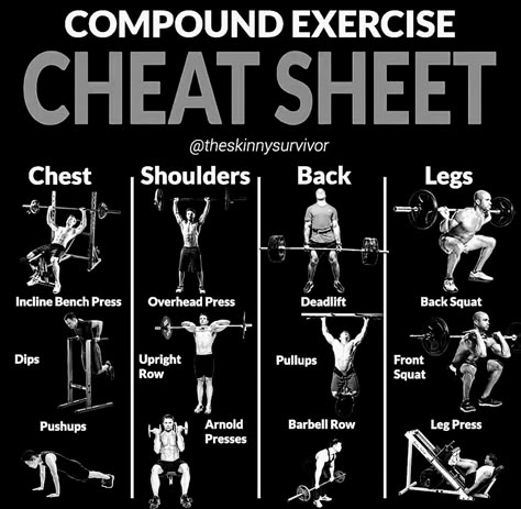 Compound Workout Men, Compound Workout, Compound Chest Exercises, Lower Body Compound Exercises, Full Body Workout Compound Exercises, Total Body Compound Workout, Compound Movements Weight Training, Compound Weight Lifting Exercises, Total Body Workout Plan