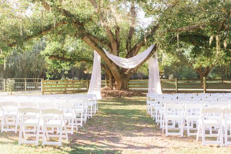 Outdoor Wedding Ceremony Tree, Tree Wedding Ceremony, Ceremony Backdrop Outdoor, Outdoor Wedding Backdrops, Draping Wedding, Wedding Alters, Rustic Outdoor Wedding, Wedding Ceremony Backdrop, Outdoor Wedding Decorations