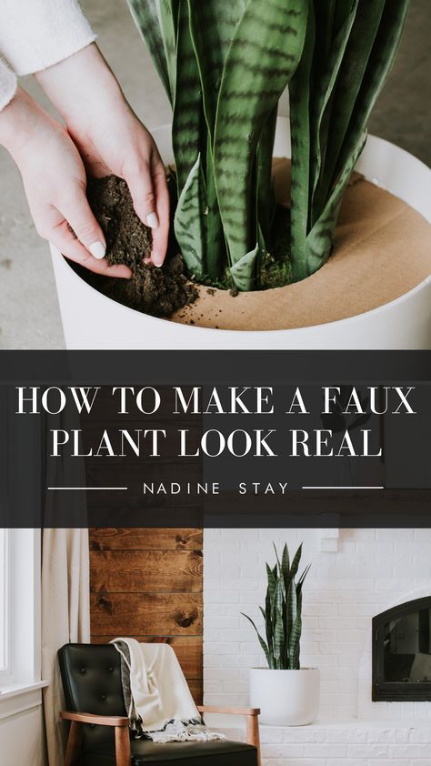 Faux Outdoor Plants, Nadine Stay, Faux Plants Decor, Fake House Plants, Fake Plants Decor, Alpine Plants, Garden Types, Interior Plants, House Plants Decor