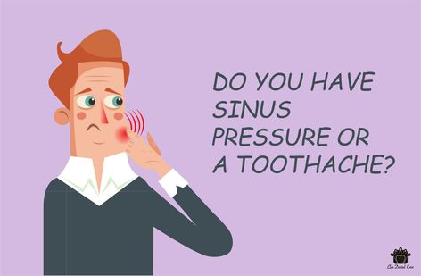 Our human body is a confused biological system. Isn’t it? The Interlink of the organs is so complex and complicated within the body. One such confusing and bothering pain in the body is sinus pressure and toothache. Sinus and teeth both stay close to each other near the nasal cavity, and so if pain occurs, we will not be able to identify it. However, a dentist will be able to judge if the pain is due to sinus pressure or a toothache. Biological System, Clogged Sinuses, Tooth Pain Relief, Sinus Cavities, Tooth Ache Relief, Tooth Infection, Sinus Pain, Sinus Headache, Nasal Cavity