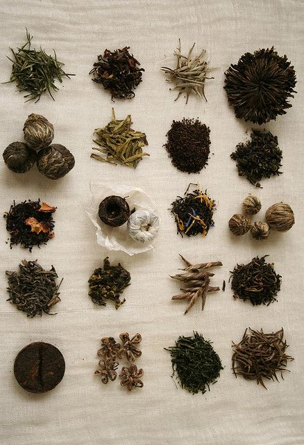 Tea Types Of Teas, Fresh Fruit Recipes, Pu Erh, Tea Culture, Tea Art, My Cup Of Tea, Chinese Tea, Tea Shop, Tea House