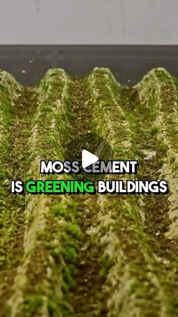 James Stewart on Instagram: "🌳🏢 Moss Cement is turning our buildings green and bringing cities back to nature. Moss cement consists of recycled cement & moss spores, creating this breathtaking building work that’s good for the planet and our wallets!    #sustainableliving #sustainabledesign #naturelovers #nature #moss #mosswall #greencity #sustainablebuilding" Moss Roof Diy, Natural Building Materials Architecture, Moss Concrete, Manor Exterior, Building Materials Architecture, Cement House, French Manor, Bar Concept, Pine Cabin