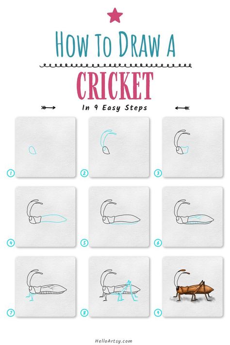 Step by step drawing lesson teaching kids a How to Draw a Cricket Cricket Insect Art, Cricket Drawing, How To Draw Insects, Cricket Insect, Bugs Drawing, Disney Drawing Tutorial, Cricket Crafts, Drawing Tutorial Easy, Insect Art