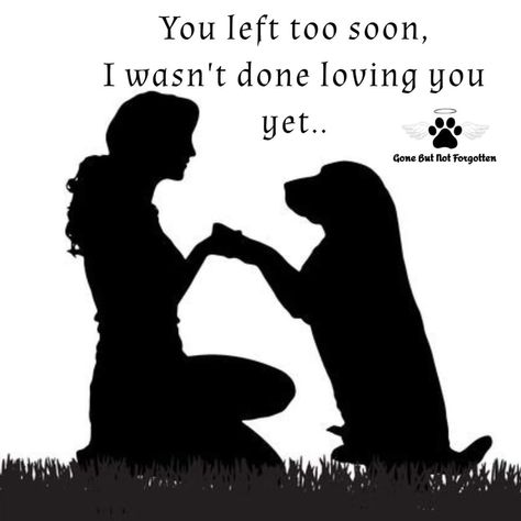 Miss My Dog Quotes, Losing A Dog Quotes, I Miss My Dog, My Dog Quotes, Losing A Pet Quotes, Dog Heaven Quotes, Miss My Dog, Dog Poems, Dog Quotes Love