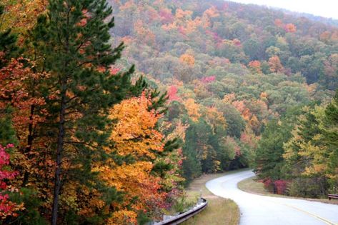 If you visit during the fall, there's a chance you'll faint from all the beauty. You’ll see the Winding Stair Mountains bursting with bold colors like you've never seen before in the Sooner State. Oklahoma Travel, Arkansas Travel, Crisp Morning, Hot Springs Arkansas, Quaint Village, Autumn Drives, Scenic Byway, Scenic Routes, Scenic Drive