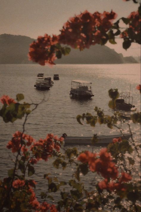 Vintage Boat Aesthetic, Boat Aesthetic Vintage, Italy Vintage Aesthetic, Italy Aesthetic Vintage, Italian American Aesthetic, Travel Goals Aesthetic, France Aesthetic Vintage, Vintage Italian Aesthetic, Vintage Italy Aesthetic