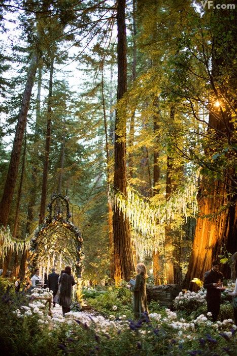 Sean Parker Wedding, Cottage Core Wedding, Elvish Wedding, Cottagecore Wedding, Wedding Forest, Forest Theme Wedding, Wedding Themes Summer, Secret Wedding, Big Sur Wedding