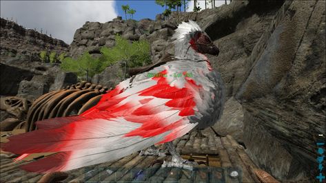 Ark Survival Evolved Wyvern, Ark Survival Evolved Griffin, Ark Argentavis, Ark Valguero, Ark Evolution, Ark Dinosaurs, Ark Survival Evolved, Animals, Quick Saves