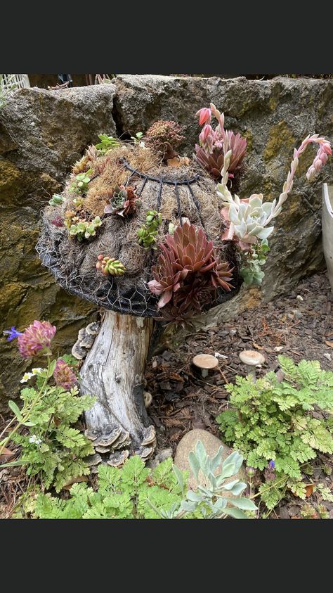 Mushroom Bird Bath, Design A Garden, Small Garden Ideas, Succulent Garden Design, Succulent Garden Diy, Garden Decor Projects, Garden Crafts Diy, Garden Design Ideas, Home Garden Design