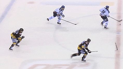 The Coolest Pass in Hockey Doesn't Involve a Puck Hockey Gif, Action Gif, Quotes Girlfriend, Hockey Rules, Hockey Boards, Hockey Quotes, Funny Hockey, Hockey Memes, Hockey Humor