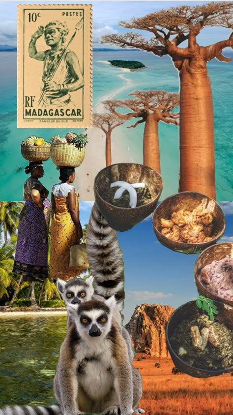 #madagascar #island #aesthetic #tropical #vacation #adventure Madagascar Island, Madagascar Aesthetic, Africa Aesthetic, Madagascar Culture, Madagascar Travel, Childhood Aesthetic, Dream Holiday, Tropical Vibes, Pretty Wallpaper Iphone