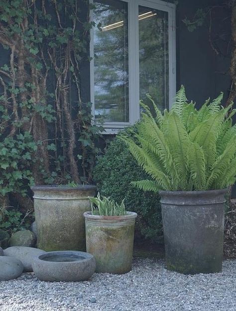 Moderne Have, Rustic Pots, Gravel Patio, Gravel Garden, Have Inspiration, Garden Containers, Courtyard Garden, Garden Cottage, Small Gardens