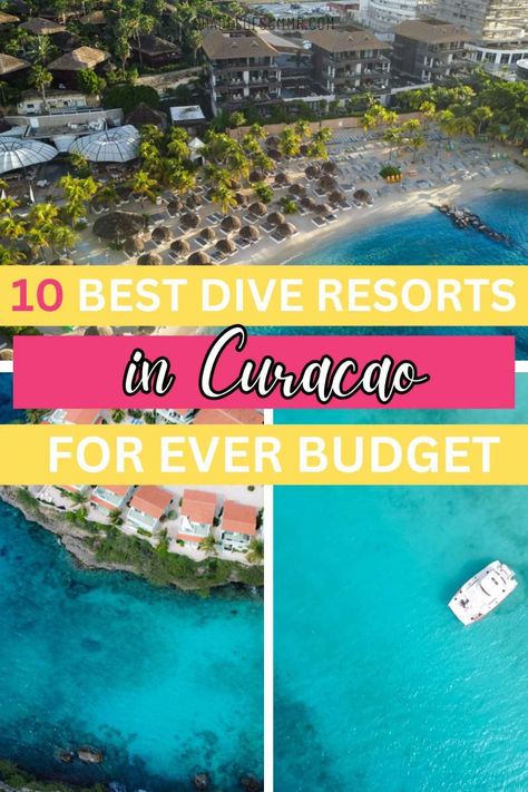 Discover the 10 best dive resorts in Curacao for every budget! From luxurious retreats with private dive spots to affordable accommodations close to famous dive sites, this list has it all. Experience the island's underwater wonders, including vibrant coral reefs and diverse marine life. Whether you're a seasoned diver or a beginner, find the perfect resort to suit your needs and make your Curacao diving adventure unforgettable. #CuracaoDiveResorts #ScubaDiving #TravelTips #BudgetFriendly Curacao Honeymoon, Willemstad Curacao, Rescue Diver, Dive Resort, Stunning Hotels, Best Scuba Diving, Marine Conservation, Cruise Port, Koh Tao