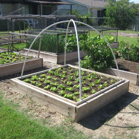 Vegetable Garden Beds, Garden Shade, Garden Boxes Diy, Raised Vegetable Gardens, Diy Garden Bed, Diy Raised Garden, Raised Garden Beds Diy, Greenhouse Plans, Fine Gardening