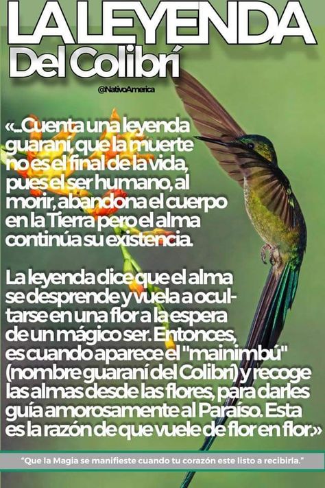 Shamanic Journey, Spanish Inspirational Quotes, Reflection Quotes, Hummingbird Art, Fun Christmas Crafts, Young Living Oils, Beautiful Flowers Garden, Good Morning Love, God Prayer