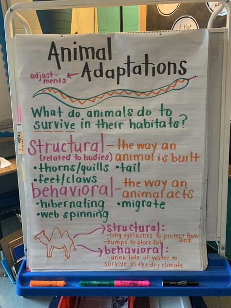 Animal Adaptations Anchor Chart, Adaptations Anchor Chart, Anchor Chart 3rd Grade, Grade 2 Science, Fourth Grade Science, Science Anchor Charts, Biology Classroom, Animal Adaptations, 7th Grade Science