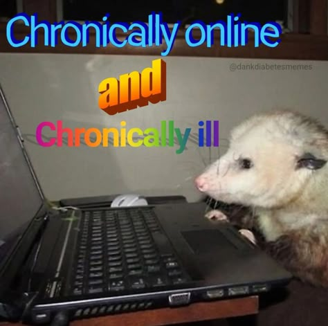 Chronically Online Core, Chronically Online Aesthetic, Me And My Cat, Awkward Girl, Programmer Humor, Chronically Online, The Runaways, Louise Brooks, Oc Board