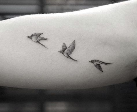 Bird Tattoos For Women, Vogel Tattoo, Handpoke Tattoo, Upper Arm Tattoos, Beach Tattoo, Three Birds, Back Tattoo Women, Arm Tattoos For Women, Back Tattoos