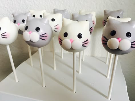 Cat Cakepops, Cat Cake Pops, Cake Pops Cute, Kitty Cake Pops, Animal Cake Pops, Kitten Cake, Cake Pops Ideas, Cake Cake Pops, Cake Pop Designs